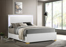 Marceline Beds