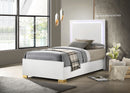 Marceline Panel Bed with LED Lighting