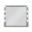 Mirror w/Light