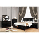 Castor Bed