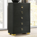 Latimer Chest