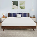 Nasturtium 8" E.King Bamboo Charcoal Infused Memory Foam