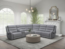 Matthias Motion Sectional