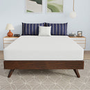 Nasturtium 8" Full Bamboo Charcoal Infused Memory Foam