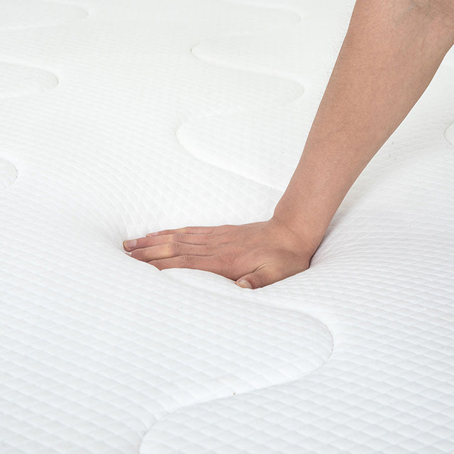 Catmint 10" Twin Innerspring Mattress