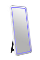 Katlyn Floor Mirror