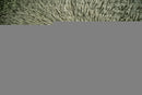 Vander Accent Chair